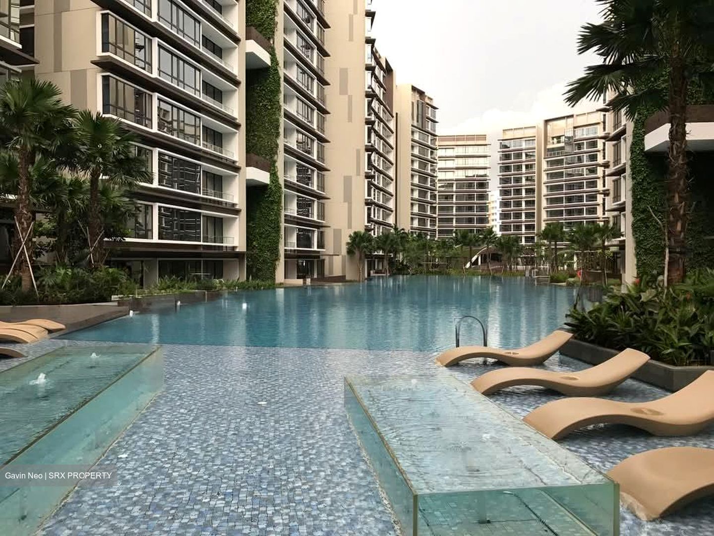 d'Nest (D18), Condominium #557555571